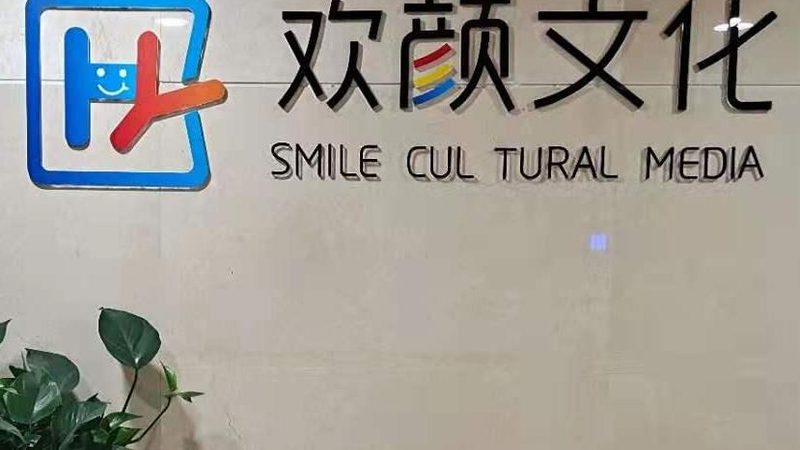 mg动画与Flash：揭秘价格差异背后的秘密